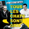 TOUS LES CHATS SONT GRIS